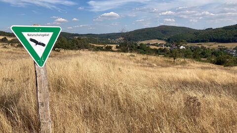 Schild "Naturschutzgebiet" vor einem großen wildbewachsenen Feld.